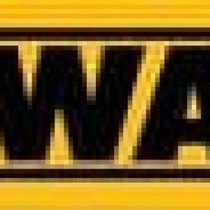 DeWalt Motorsag DCM565P1 30 cm inkl. Batteri og lader