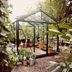 Drivhus Oasen Senior Victorian Mørk grønn, 7,3 m²