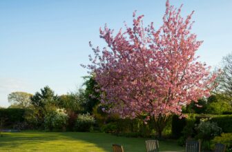 Lån til oppussing av hage